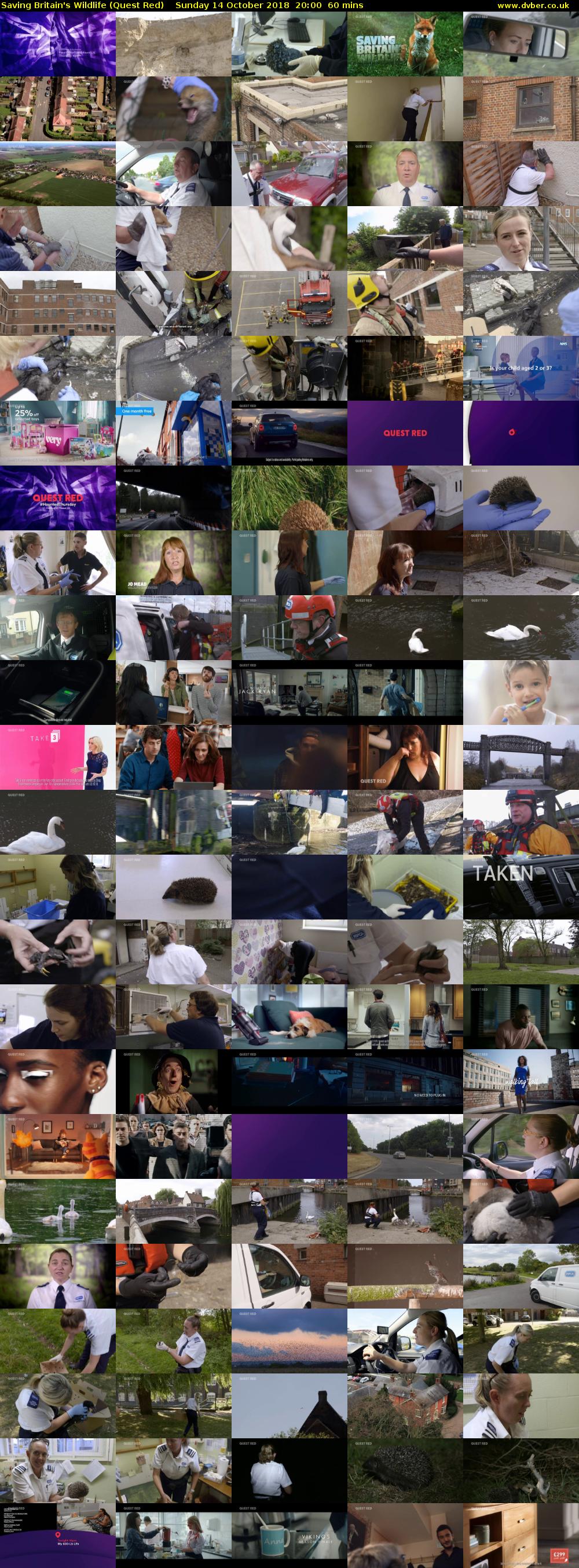 Saving Britain's Wildlife (Quest Red) Sunday 14 October 2018 20:00 - 21:00