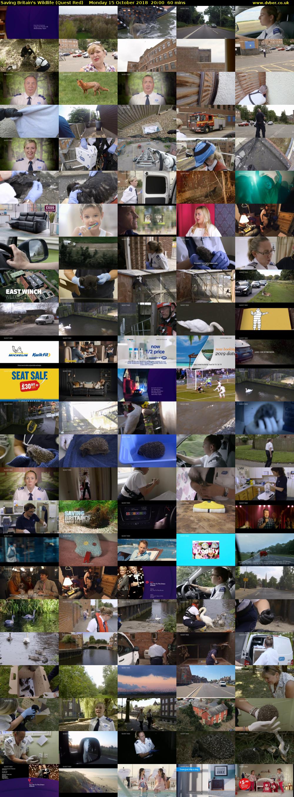 Saving Britain's Wildlife (Quest Red) Monday 15 October 2018 20:00 - 21:00