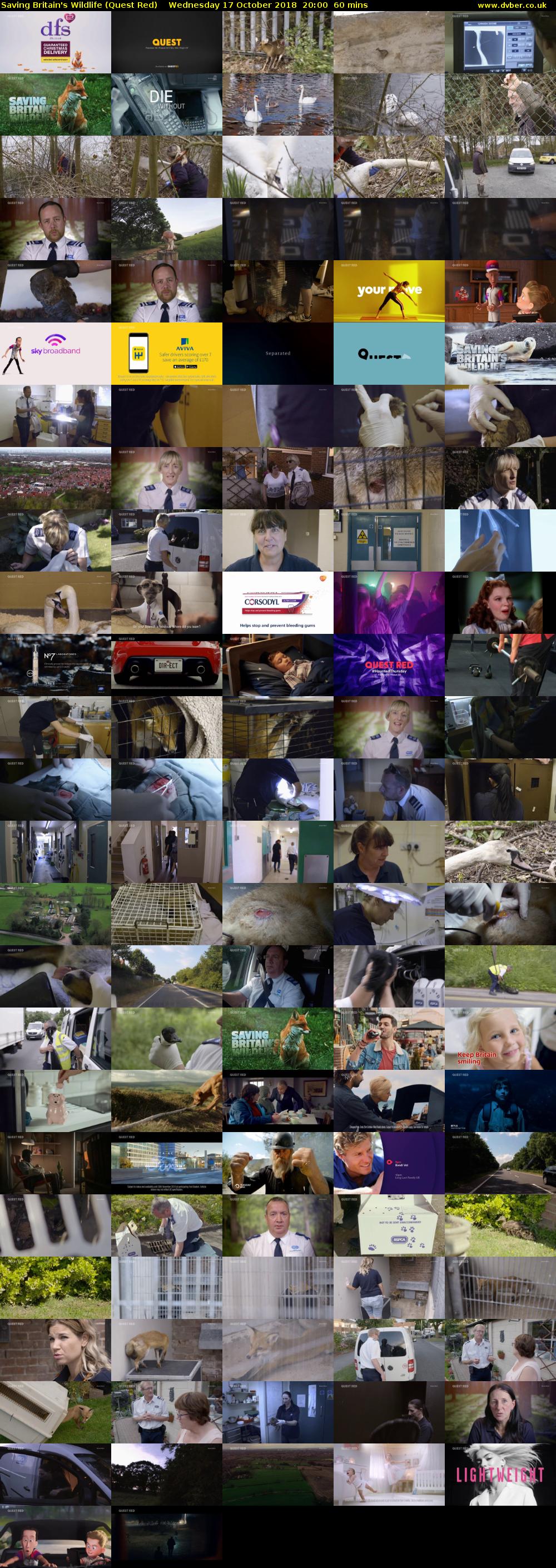 Saving Britain's Wildlife (Quest Red) Wednesday 17 October 2018 20:00 - 21:00