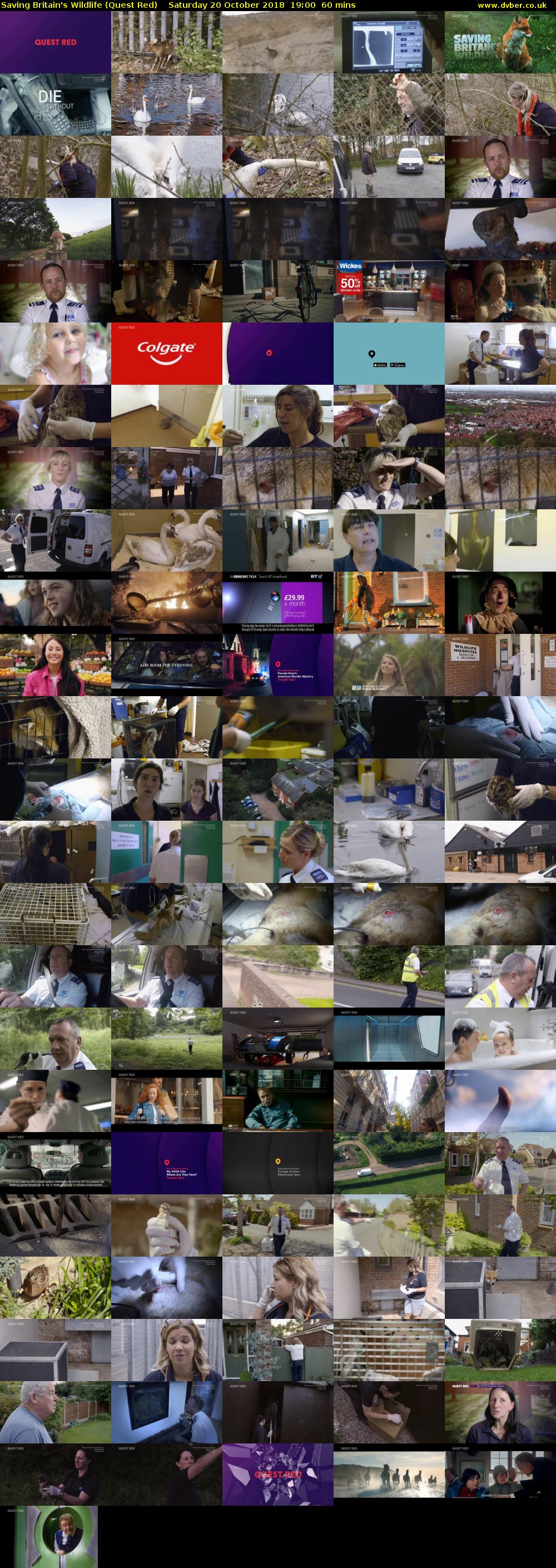 Saving Britain's Wildlife (Quest Red) Saturday 20 October 2018 19:00 - 20:00