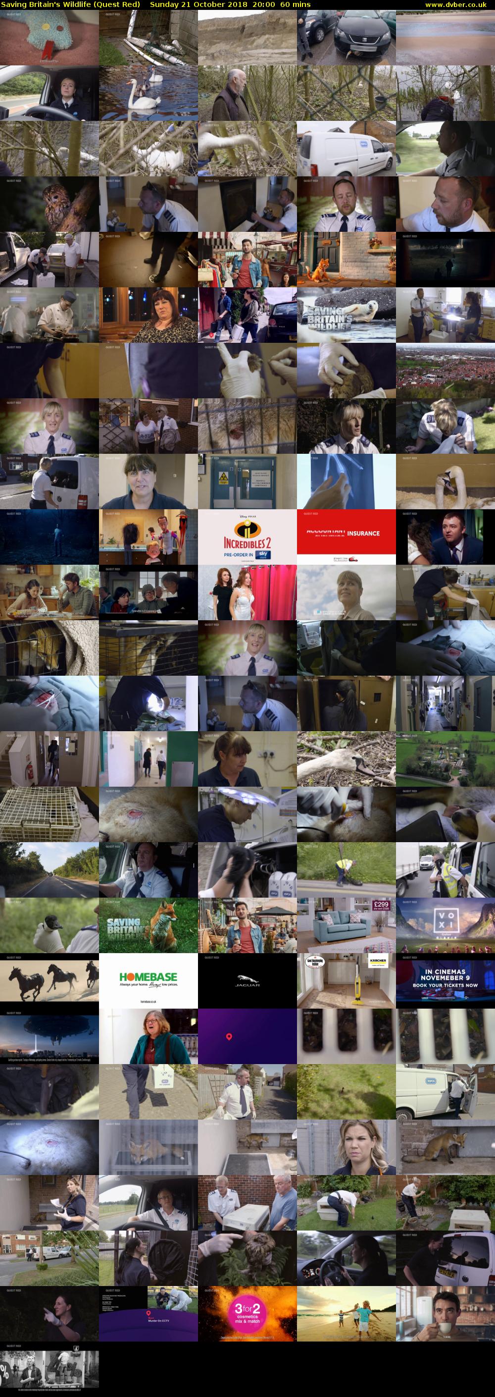 Saving Britain's Wildlife (Quest Red) Sunday 21 October 2018 20:00 - 21:00