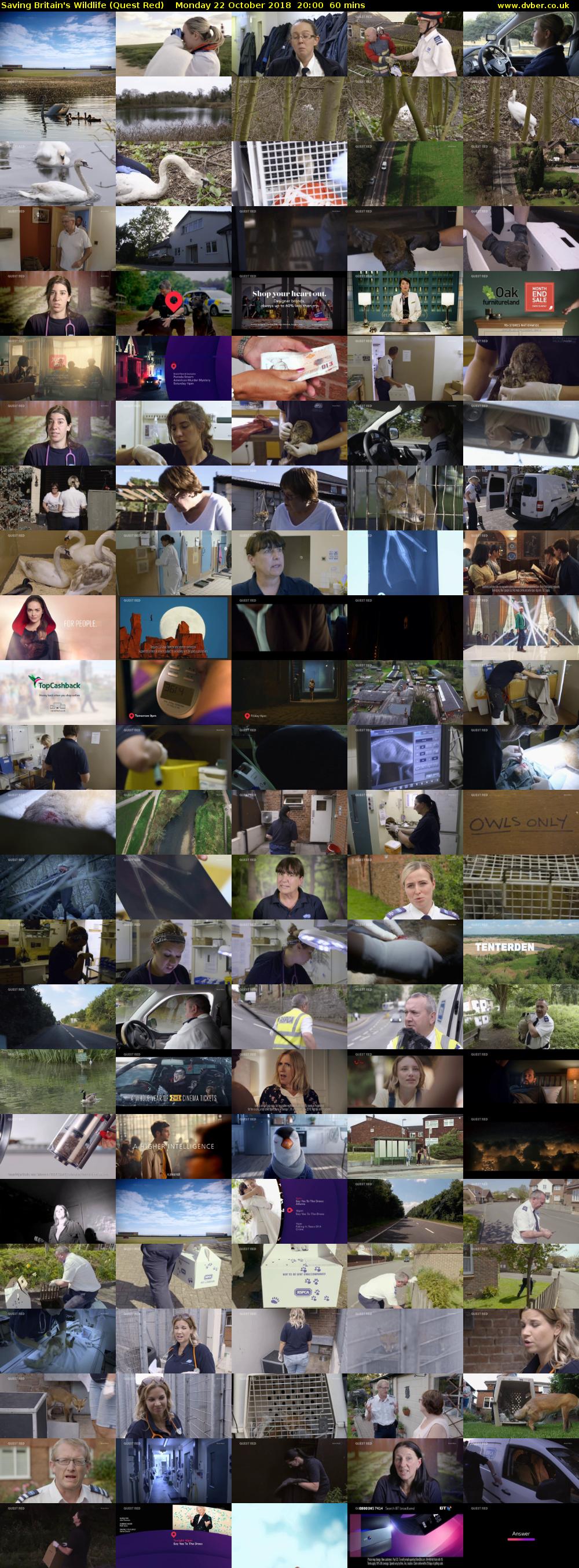 Saving Britain's Wildlife (Quest Red) Monday 22 October 2018 20:00 - 21:00