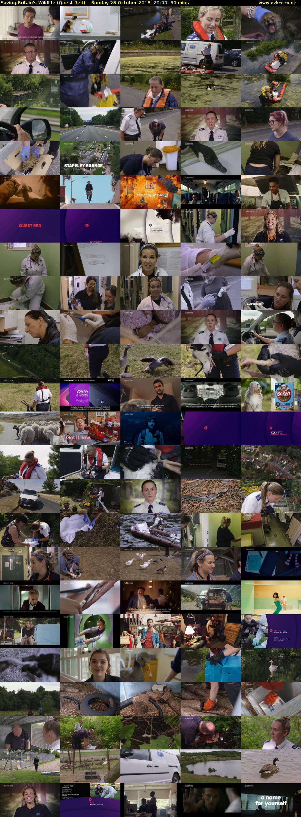 Saving Britain's Wildlife (Quest Red) Sunday 28 October 2018 20:00 - 21:00