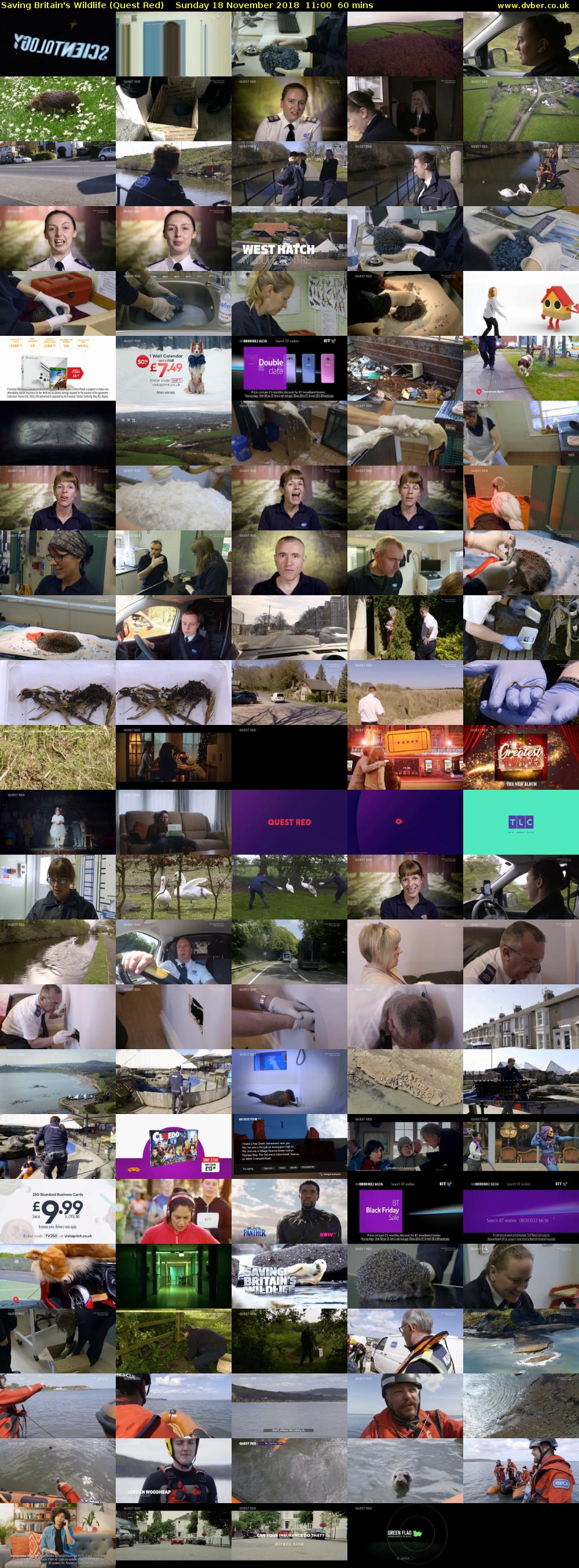 Saving Britain's Wildlife (Quest Red) Sunday 18 November 2018 11:00 - 12:00