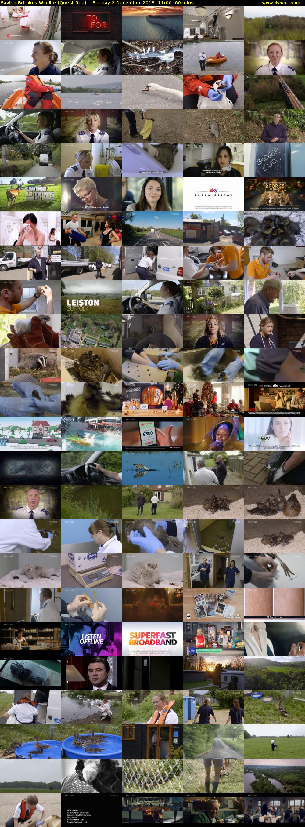 Saving Britain's Wildlife (Quest Red) Sunday 2 December 2018 11:00 - 12:00