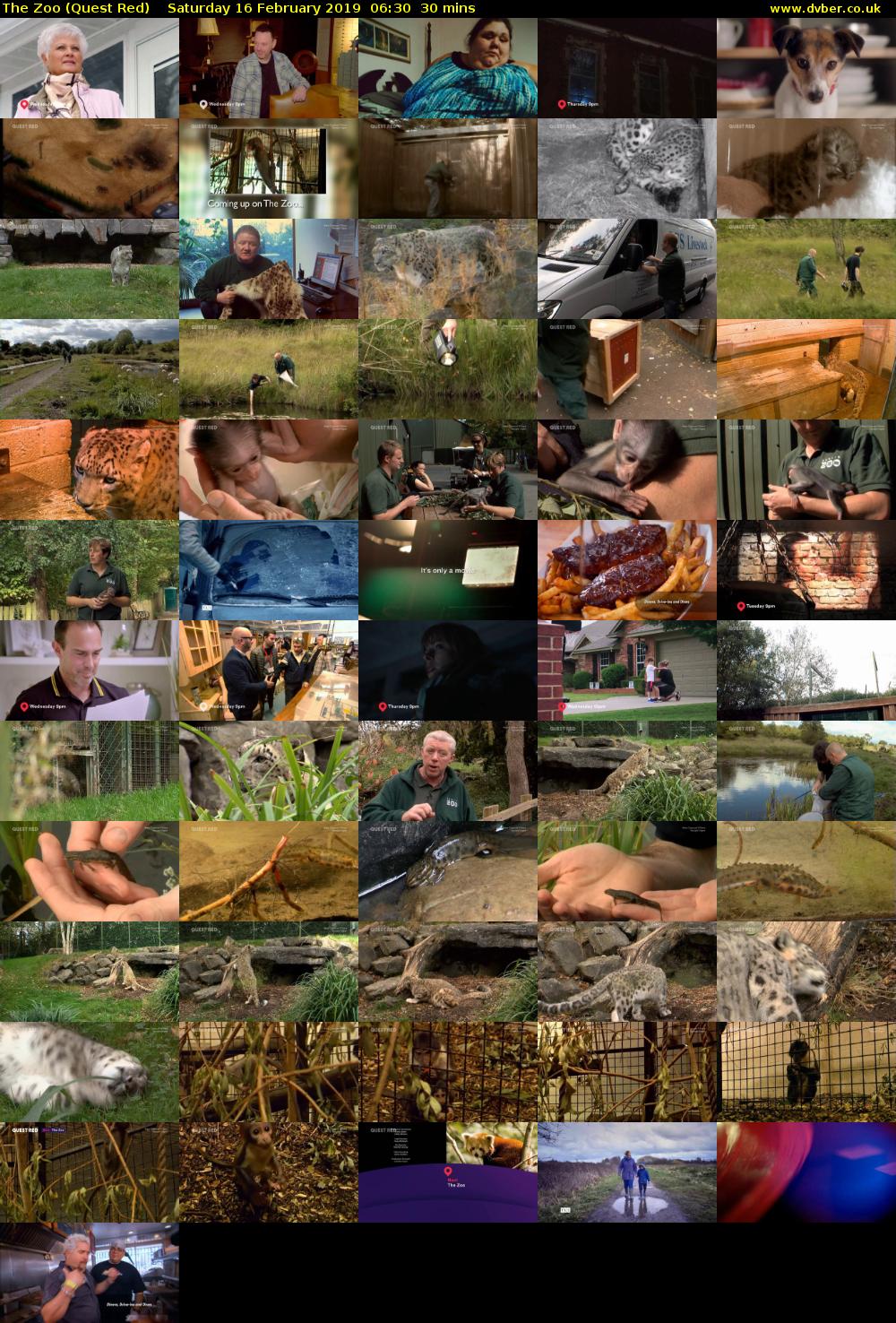 The Zoo (Quest Red) Saturday 16 February 2019 06:30 - 07:00