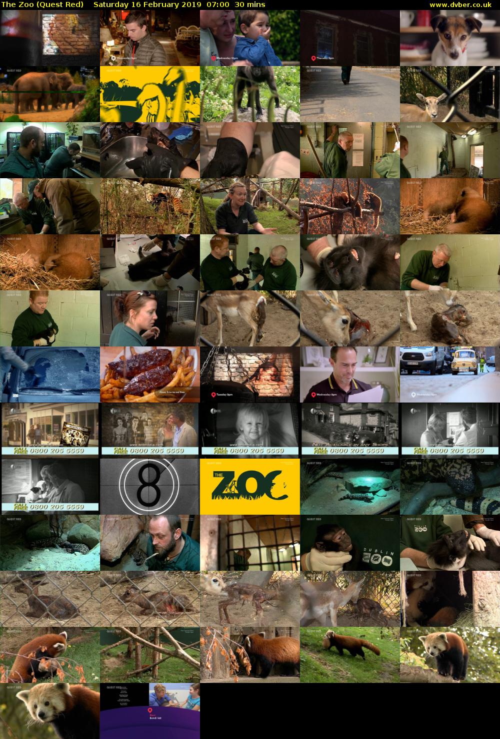 The Zoo (Quest Red) Saturday 16 February 2019 07:00 - 07:30