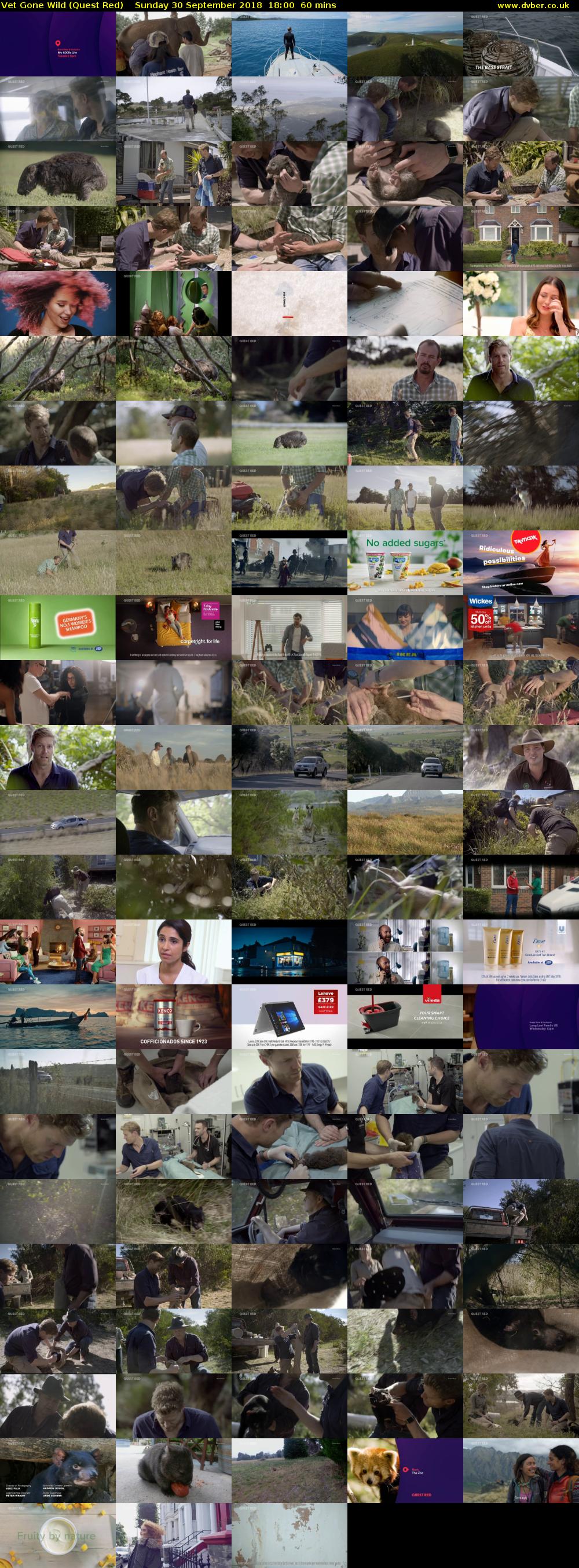Vet Gone Wild (Quest Red) Sunday 30 September 2018 18:00 - 19:00