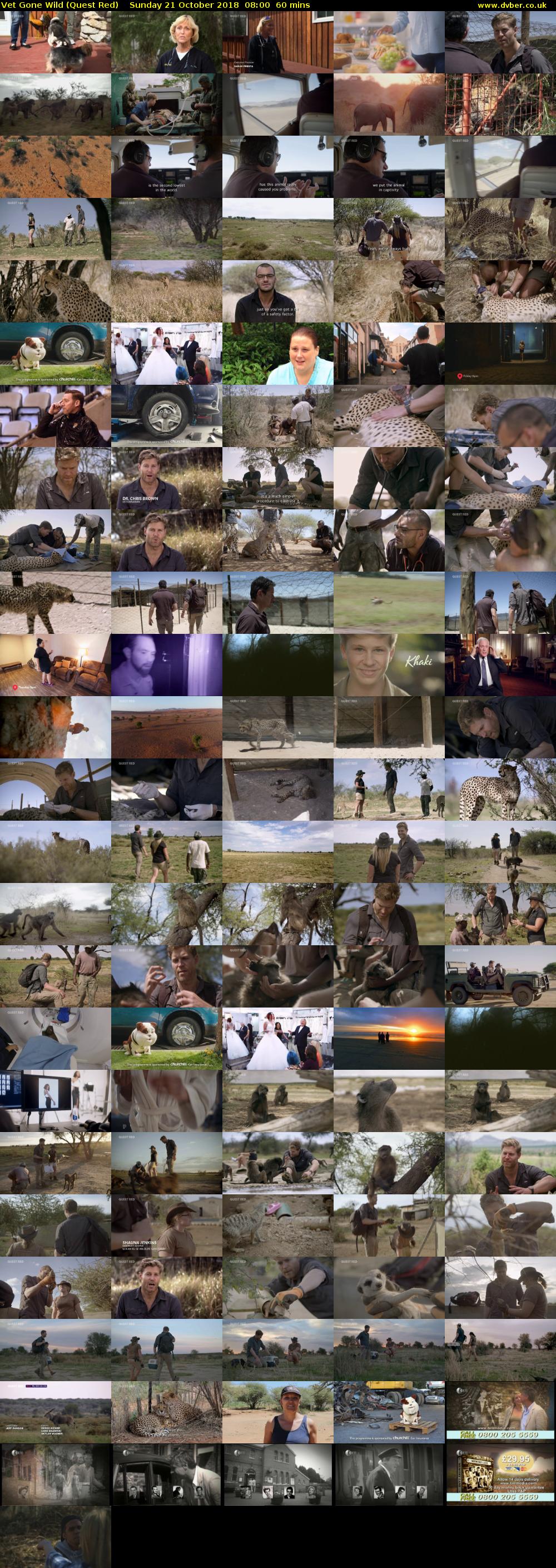 Vet Gone Wild (Quest Red) Sunday 21 October 2018 08:00 - 09:00