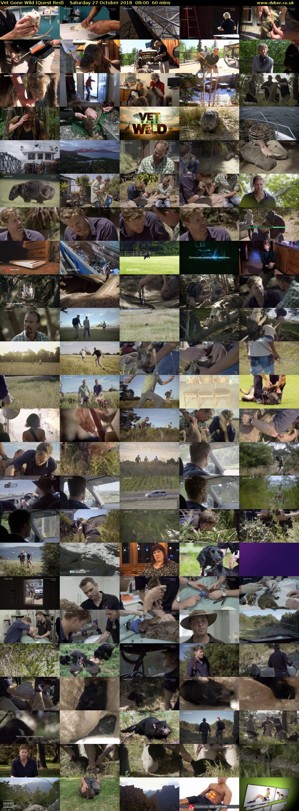 Vet Gone Wild (Quest Red) Saturday 27 October 2018 08:00 - 09:00