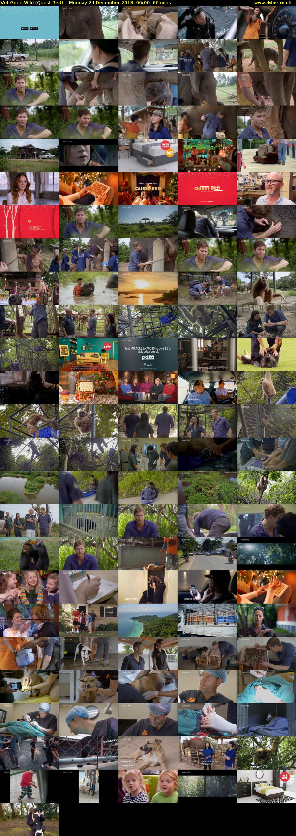 Vet Gone Wild (Quest Red) Monday 24 December 2018 06:00 - 07:00