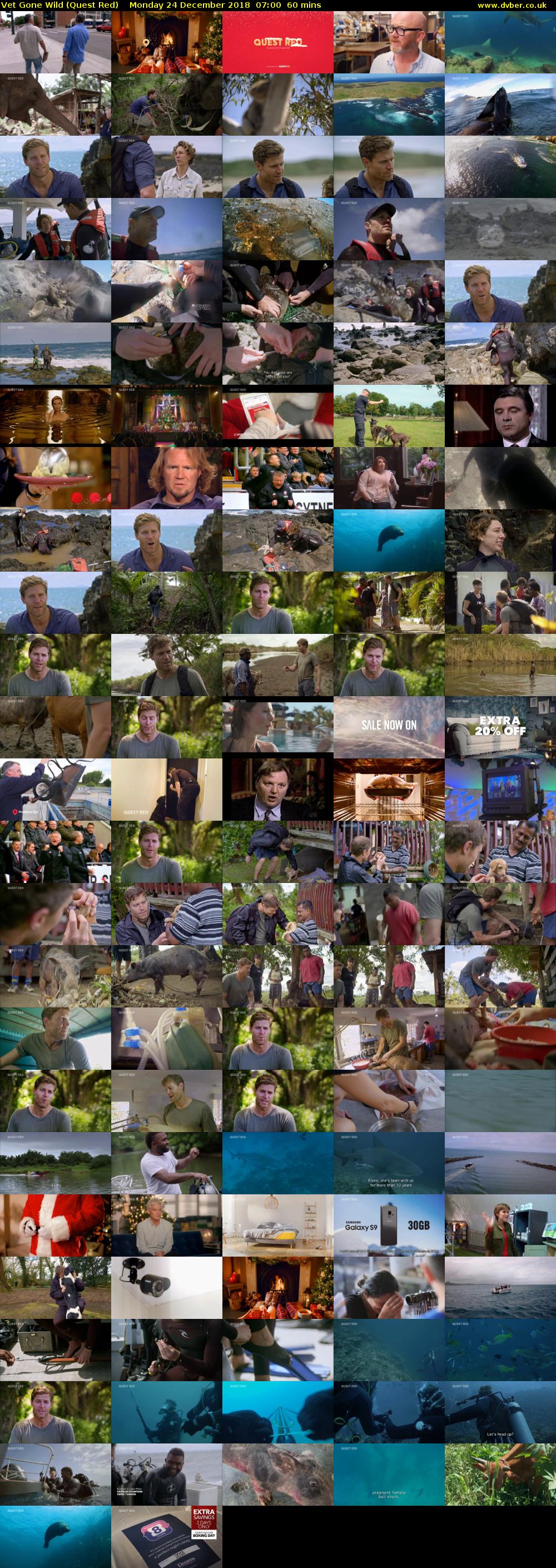 Vet Gone Wild (Quest Red) Monday 24 December 2018 07:00 - 08:00