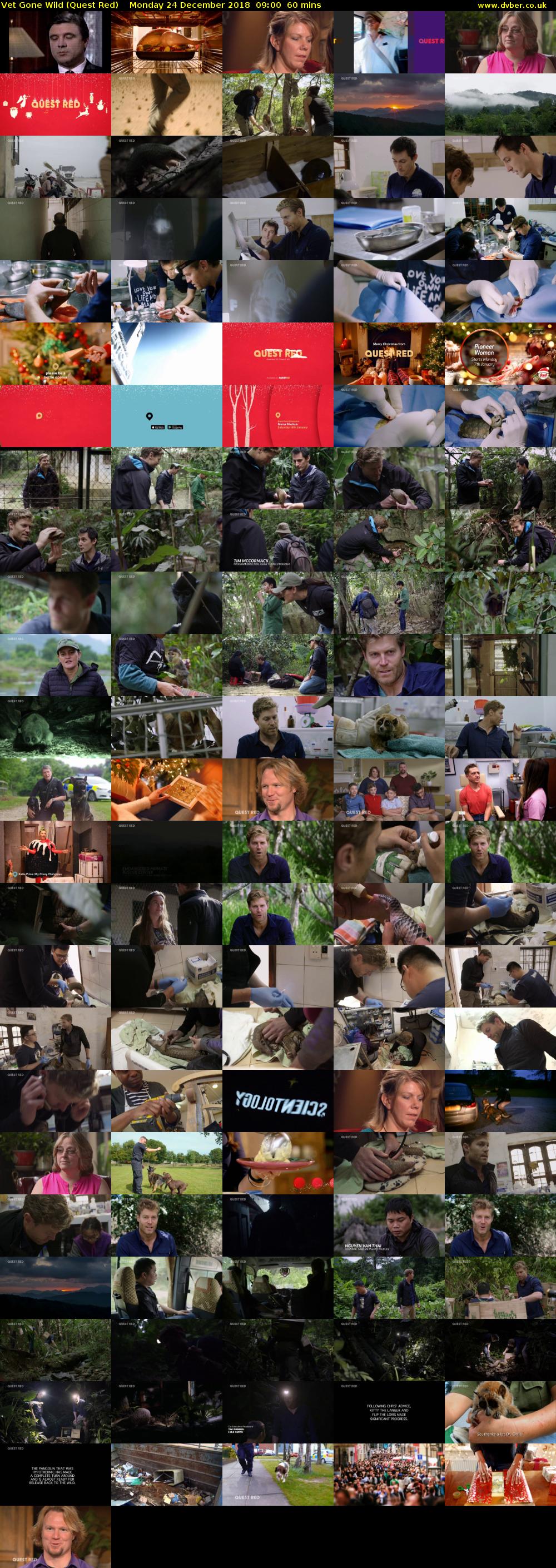 Vet Gone Wild (Quest Red) Monday 24 December 2018 09:00 - 10:00