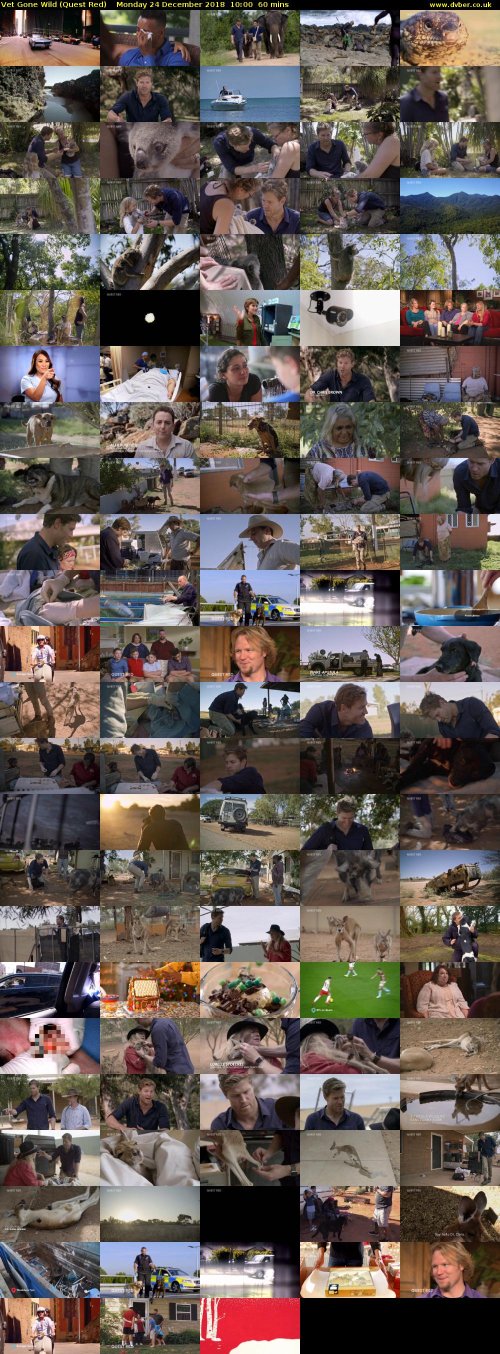Vet Gone Wild (Quest Red) Monday 24 December 2018 10:00 - 11:00