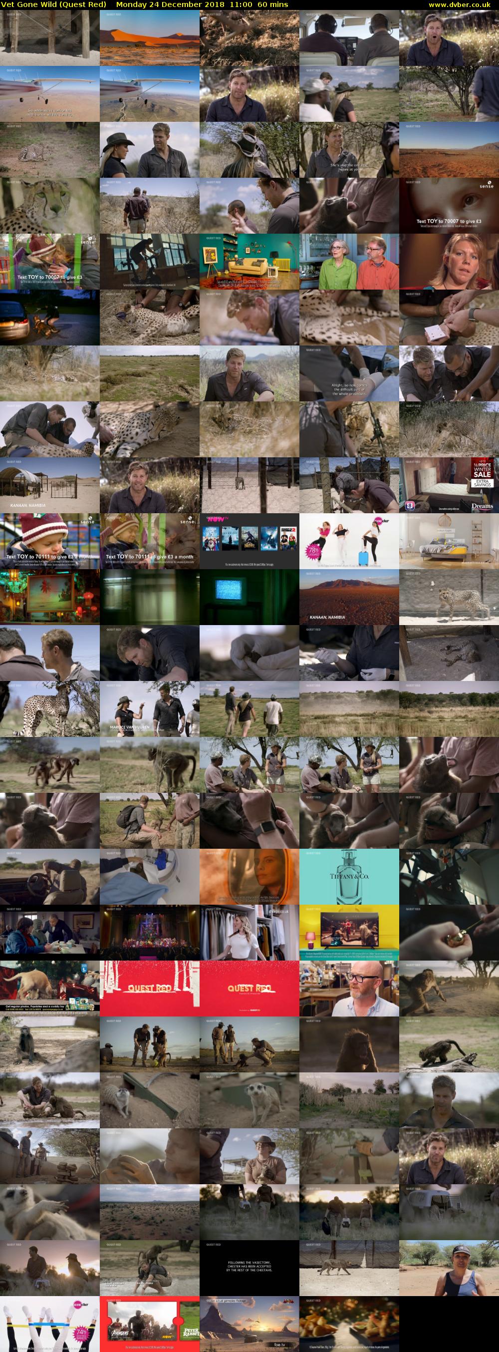 Vet Gone Wild (Quest Red) Monday 24 December 2018 11:00 - 12:00