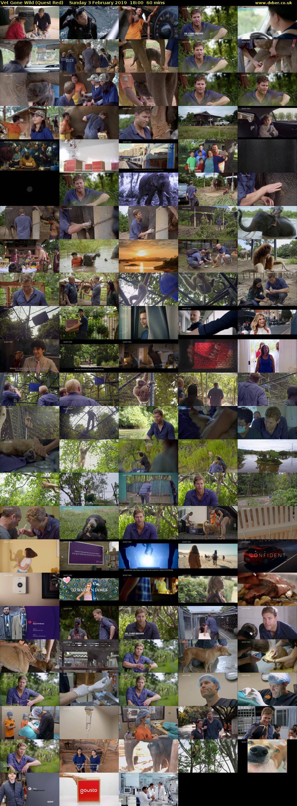 Vet Gone Wild (Quest Red) Sunday 3 February 2019 18:00 - 19:00