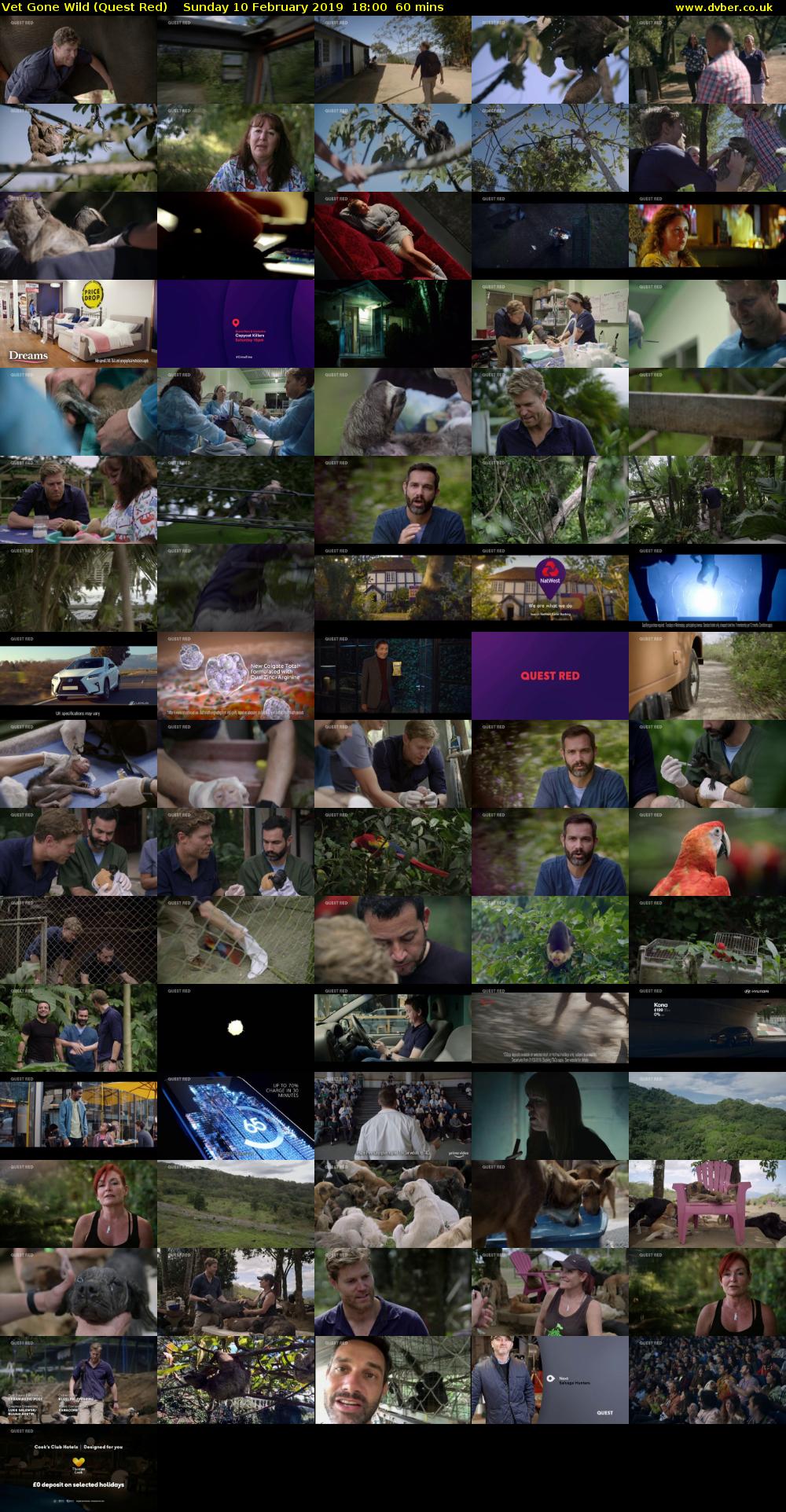 Vet Gone Wild (Quest Red) Sunday 10 February 2019 18:00 - 19:00