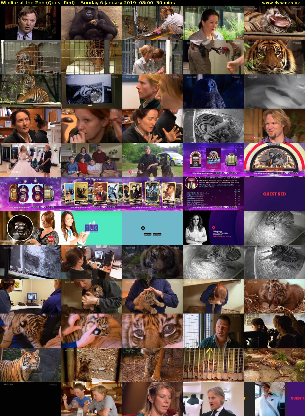 Wildlife at the Zoo (Quest Red) Sunday 6 January 2019 08:00 - 08:30