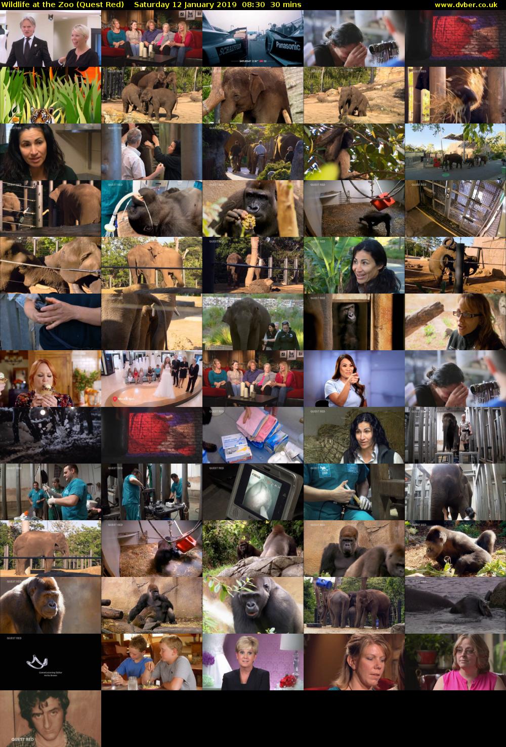 Wildlife at the Zoo (Quest Red) Saturday 12 January 2019 08:30 - 09:00