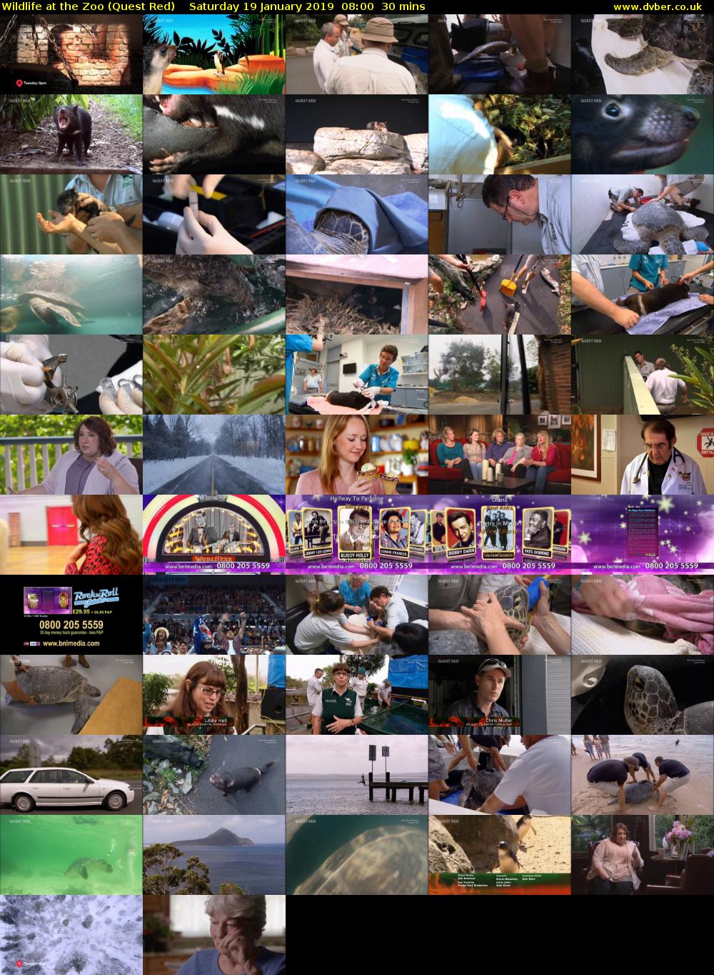 Wildlife at the Zoo (Quest Red) Saturday 19 January 2019 08:00 - 08:30