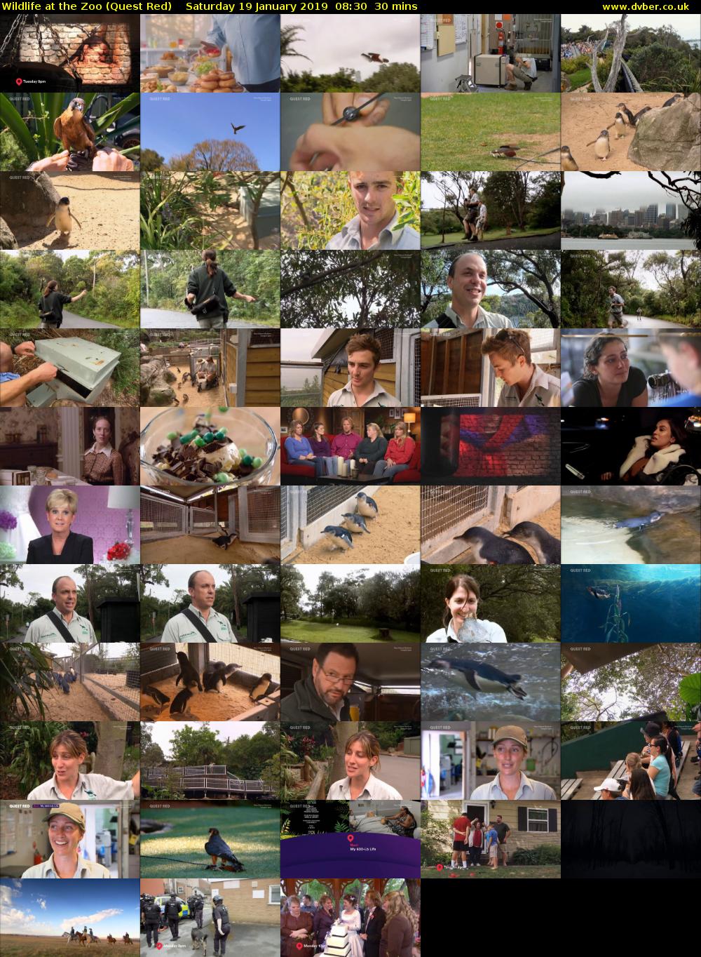 Wildlife at the Zoo (Quest Red) Saturday 19 January 2019 08:30 - 09:00