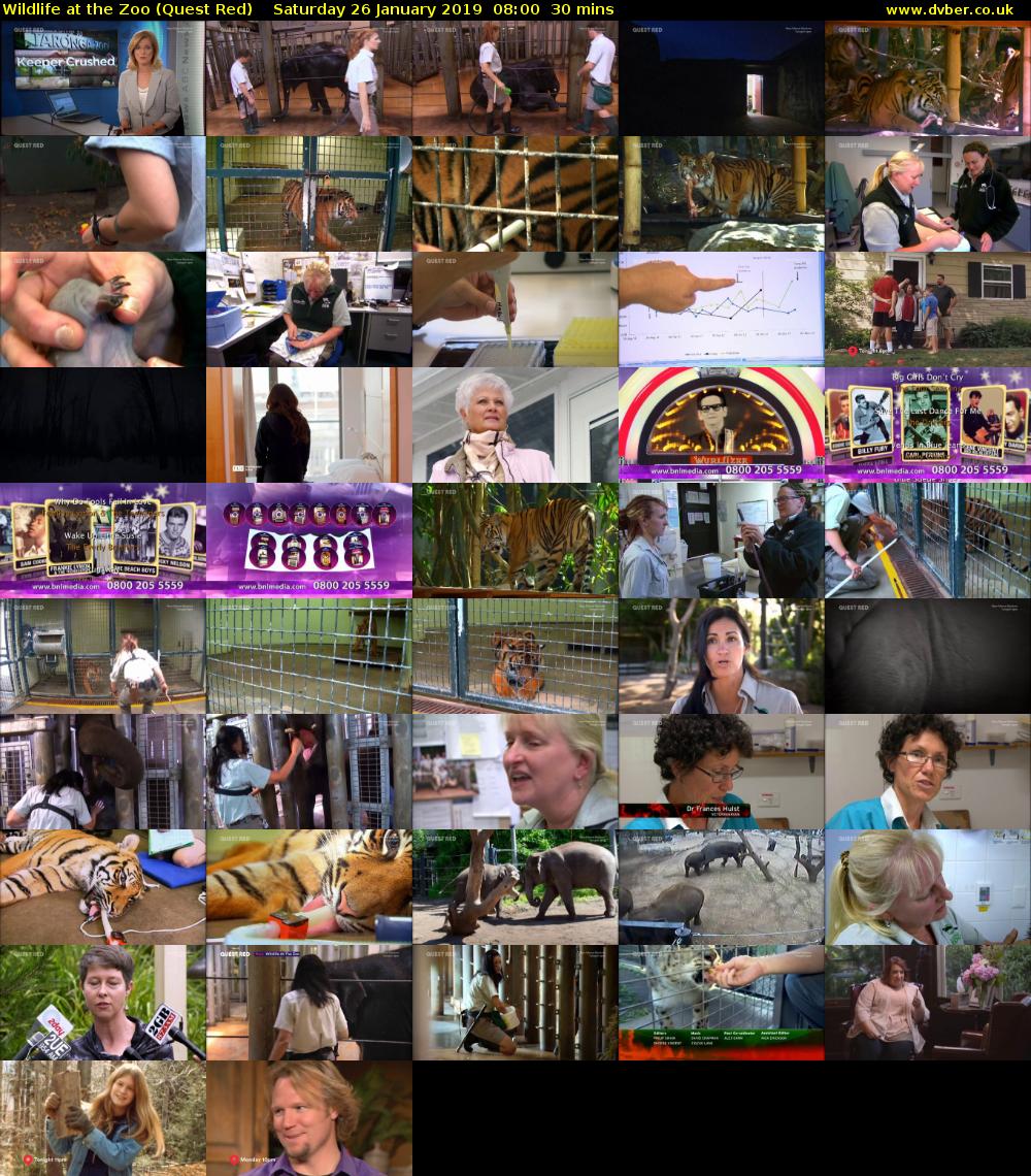 Wildlife at the Zoo (Quest Red) Saturday 26 January 2019 08:00 - 08:30