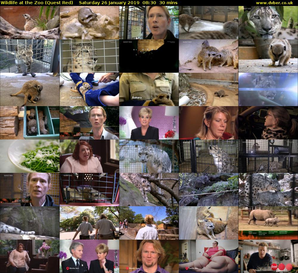 Wildlife at the Zoo (Quest Red) Saturday 26 January 2019 08:30 - 09:00