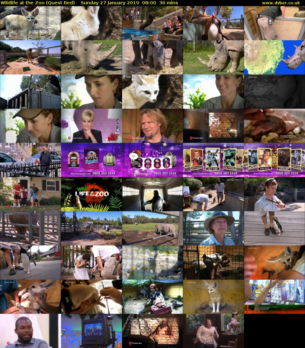 Wildlife at the Zoo (Quest Red) Sunday 27 January 2019 08:00 - 08:30