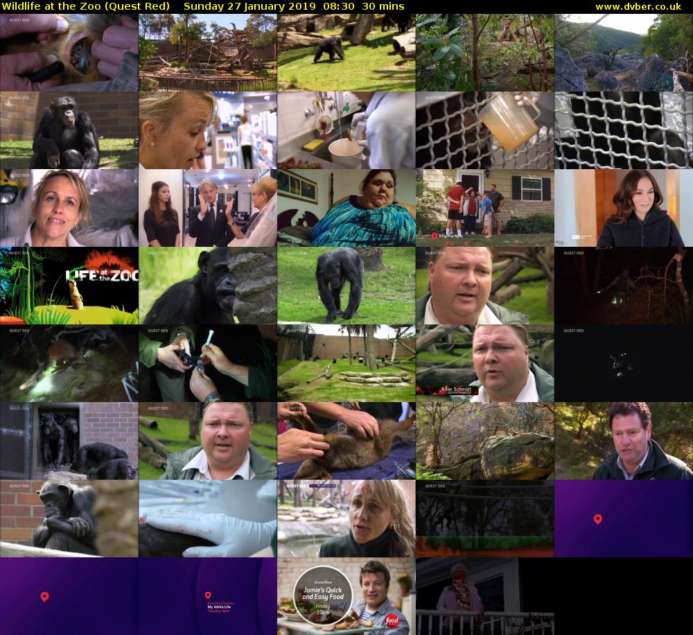 Wildlife at the Zoo (Quest Red) Sunday 27 January 2019 08:30 - 09:00