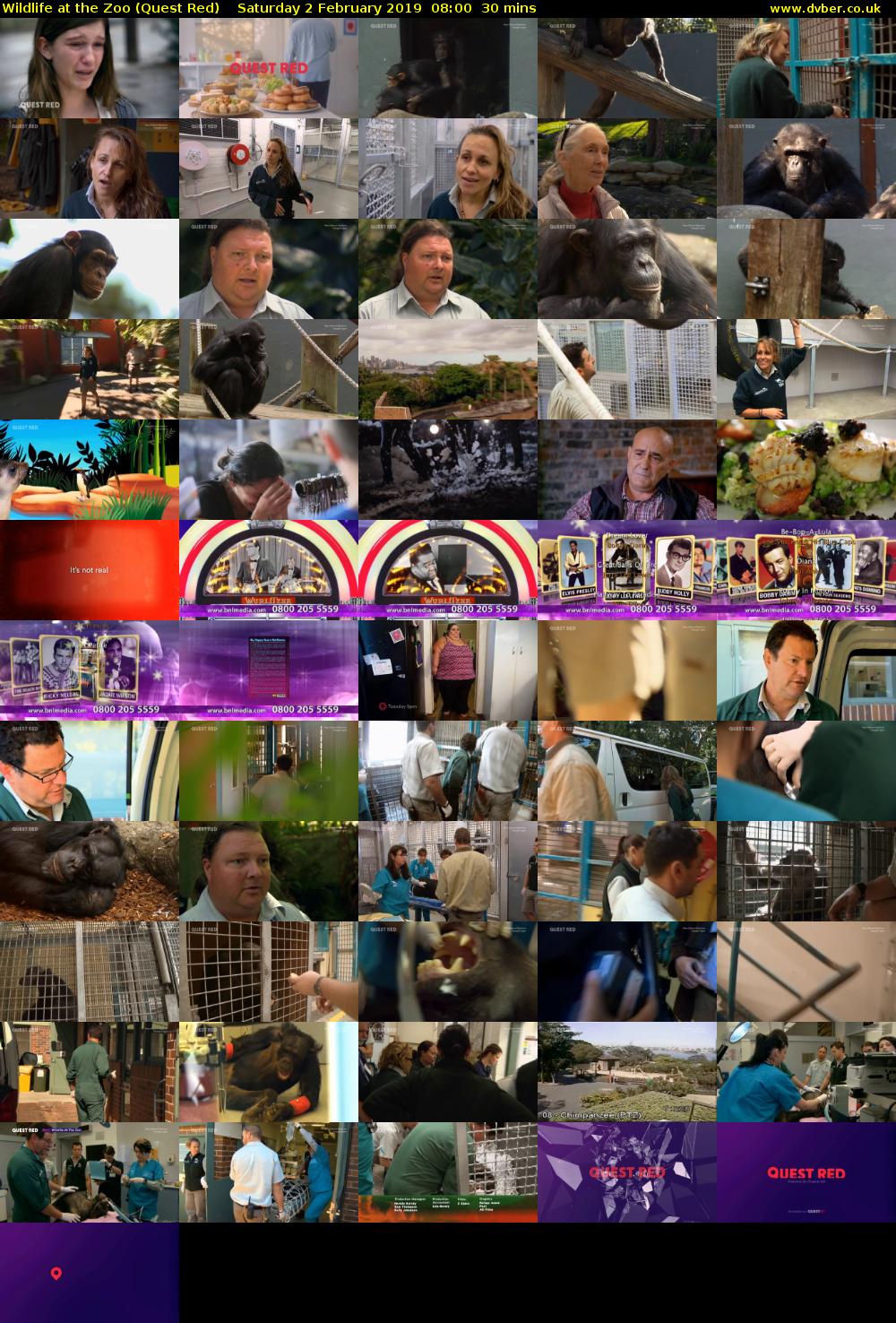 Wildlife at the Zoo (Quest Red) Saturday 2 February 2019 08:00 - 08:30