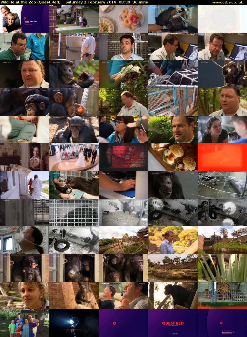 Wildlife at the Zoo (Quest Red) Saturday 2 February 2019 08:30 - 09:00