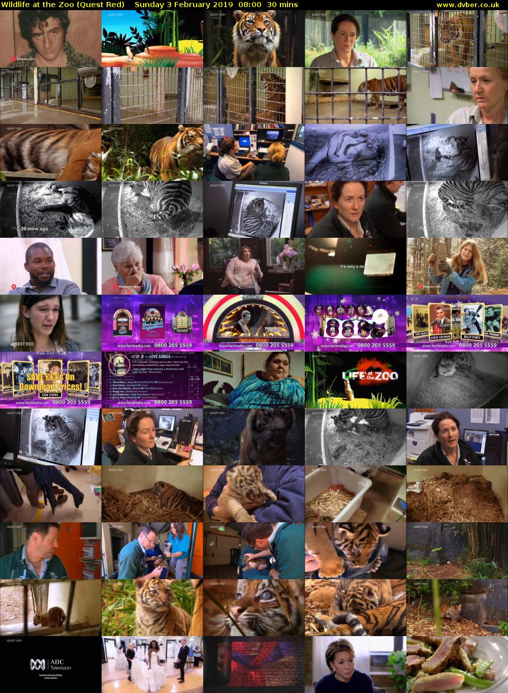 Wildlife at the Zoo (Quest Red) Sunday 3 February 2019 08:00 - 08:30