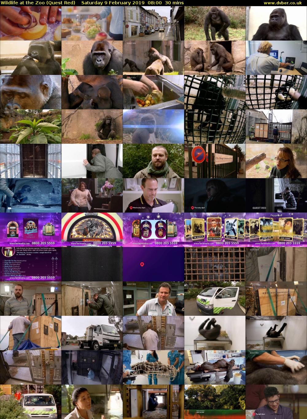 Wildlife at the Zoo (Quest Red) Saturday 9 February 2019 08:00 - 08:30