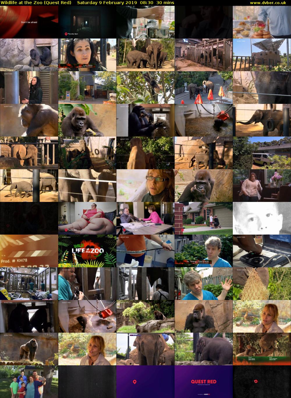 Wildlife at the Zoo (Quest Red) Saturday 9 February 2019 08:30 - 09:00