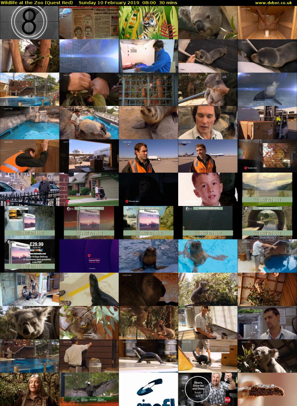 Wildlife at the Zoo (Quest Red) Sunday 10 February 2019 08:00 - 08:30