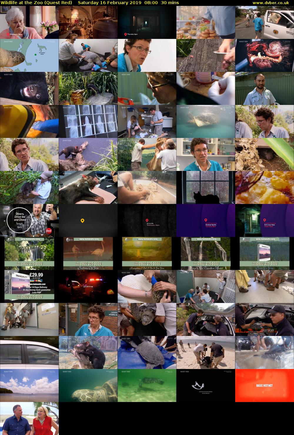 Wildlife at the Zoo (Quest Red) Saturday 16 February 2019 08:00 - 08:30