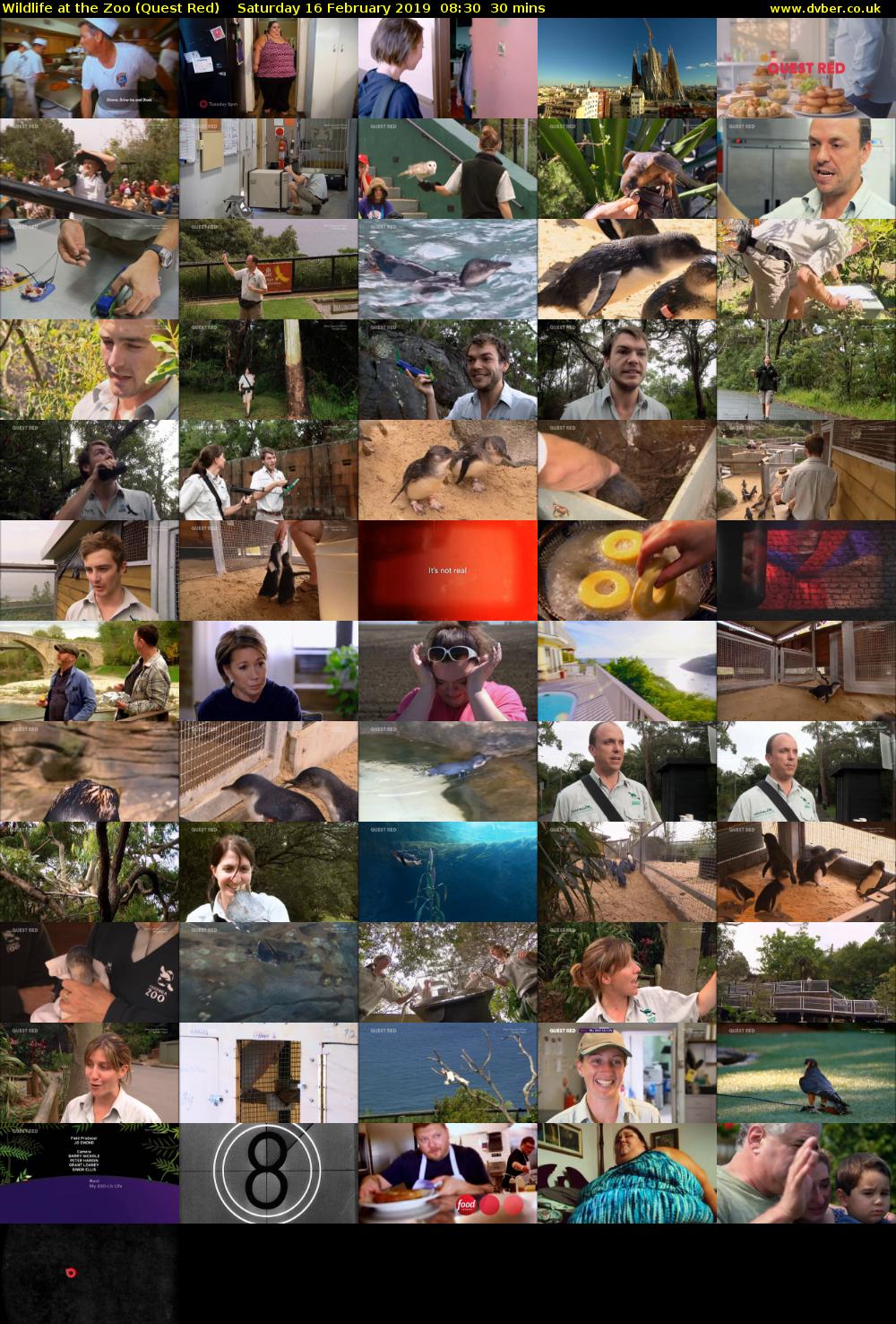 Wildlife at the Zoo (Quest Red) Saturday 16 February 2019 08:30 - 09:00