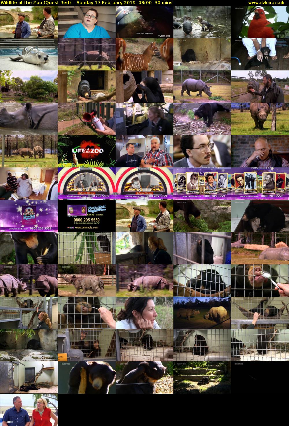 Wildlife at the Zoo (Quest Red) Sunday 17 February 2019 08:00 - 08:30