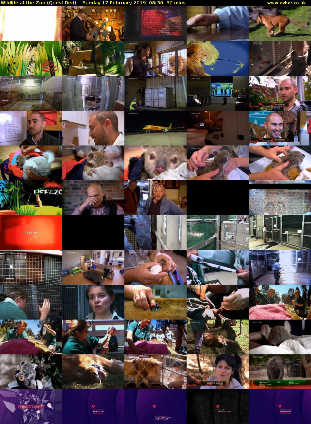 Wildlife at the Zoo (Quest Red) Sunday 17 February 2019 08:30 - 09:00