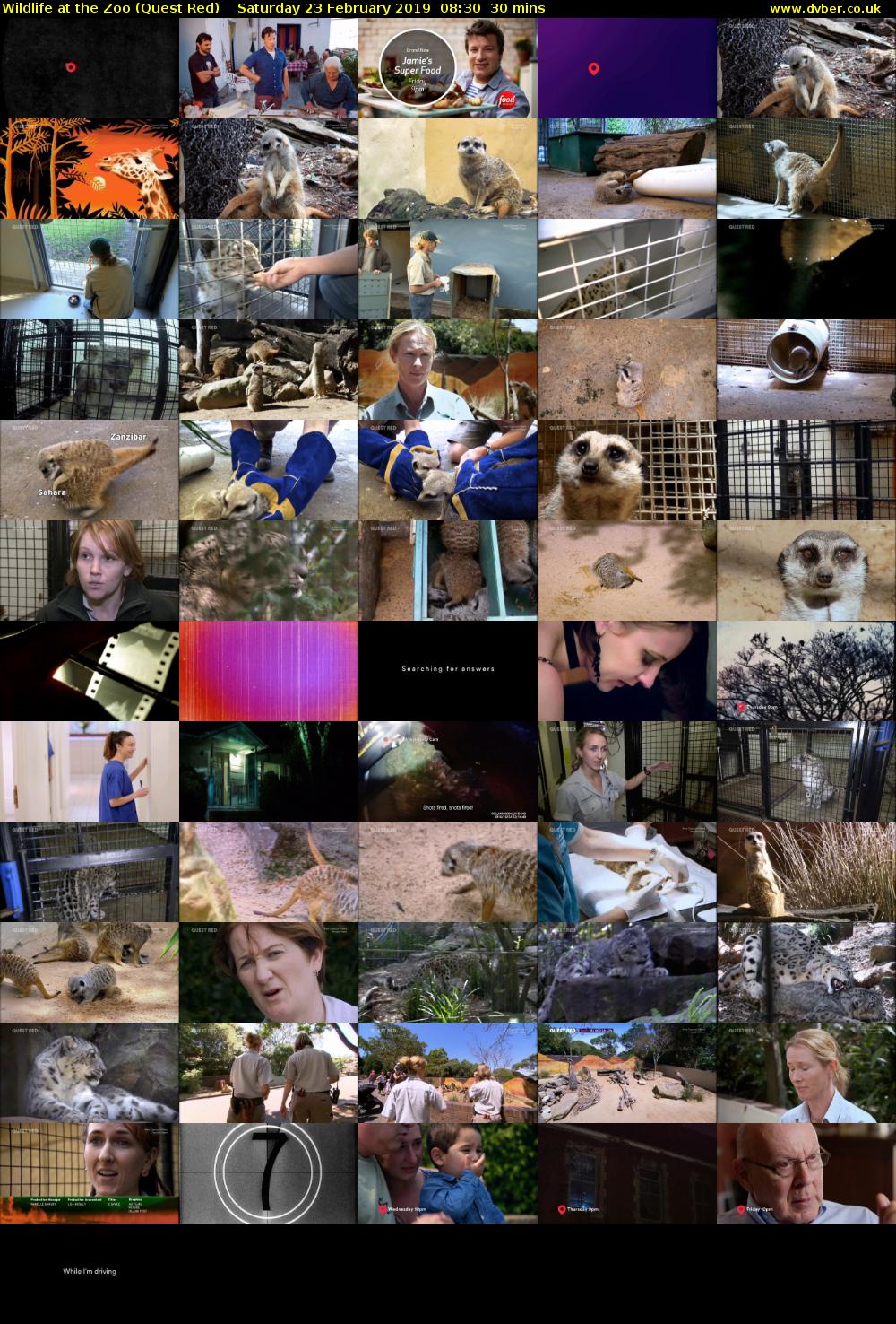 Wildlife at the Zoo (Quest Red) Saturday 23 February 2019 08:30 - 09:00