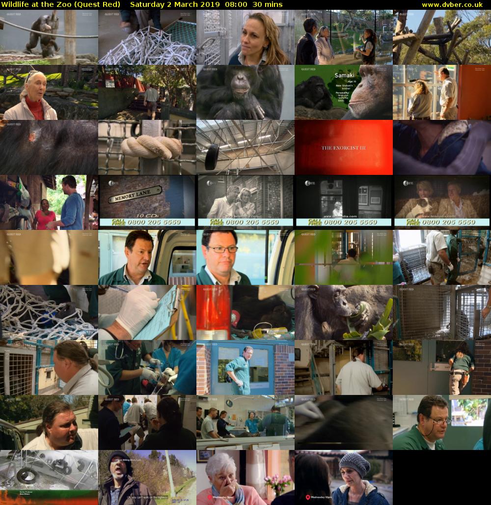 Wildlife at the Zoo (Quest Red) Saturday 2 March 2019 08:00 - 08:30