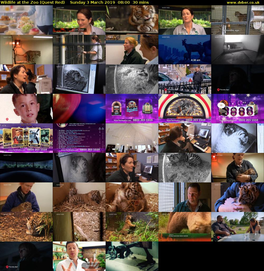 Wildlife at the Zoo (Quest Red) Sunday 3 March 2019 08:00 - 08:30