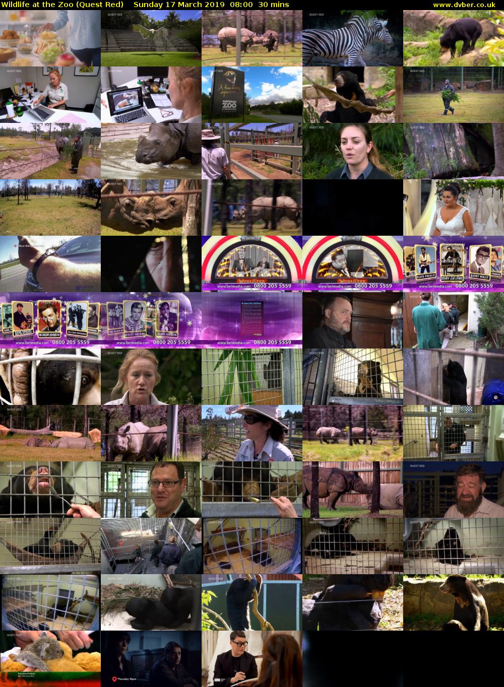 Wildlife at the Zoo (Quest Red) Sunday 17 March 2019 08:00 - 08:30