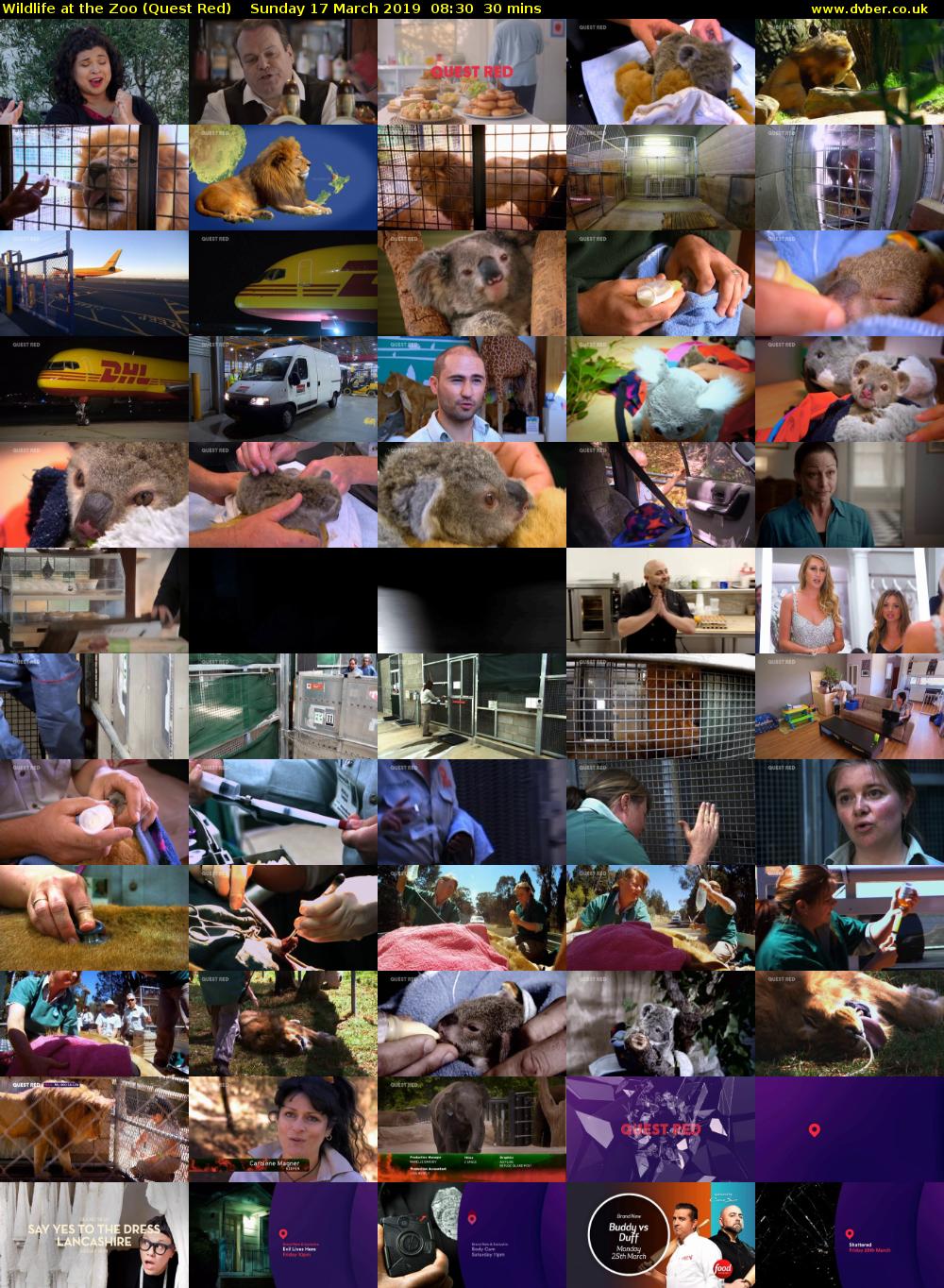 Wildlife at the Zoo (Quest Red) Sunday 17 March 2019 08:30 - 09:00