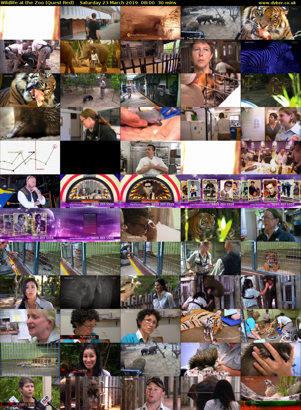 Wildlife at the Zoo (Quest Red) Saturday 23 March 2019 08:00 - 08:30