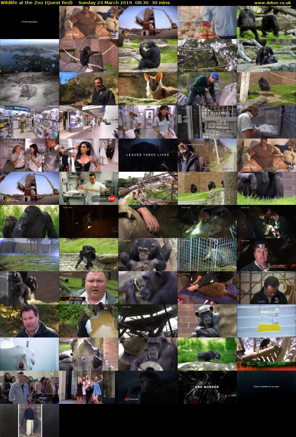 Wildlife at the Zoo (Quest Red) Sunday 24 March 2019 08:30 - 09:00