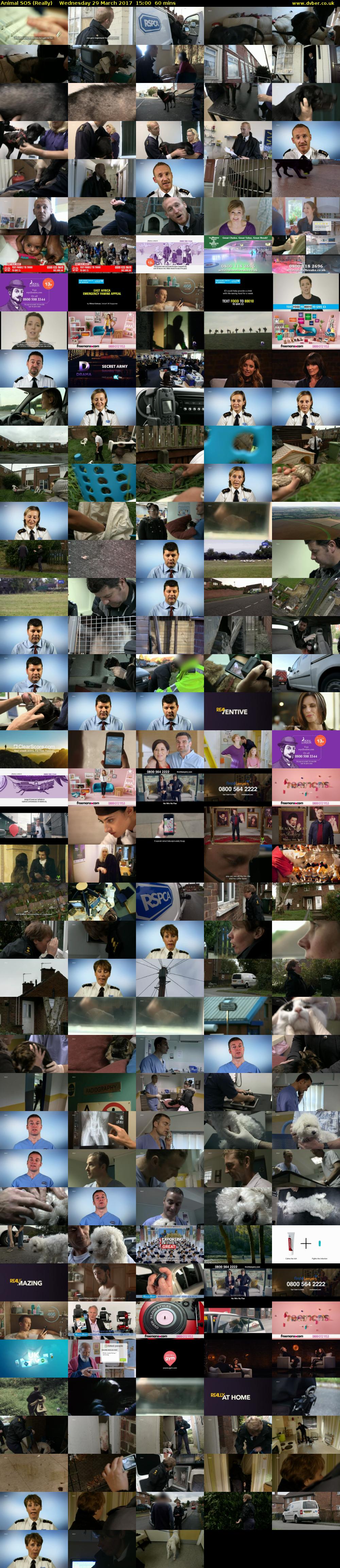 Animal SOS (Really) Wednesday 29 March 2017 15:00 - 16:00