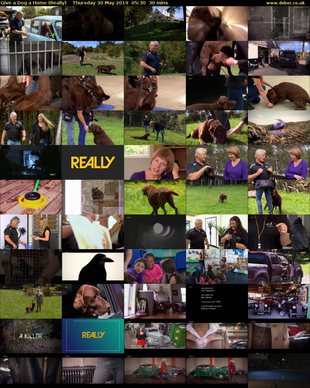Give a Dog a Home (Really) Thursday 30 May 2019 05:30 - 06:00