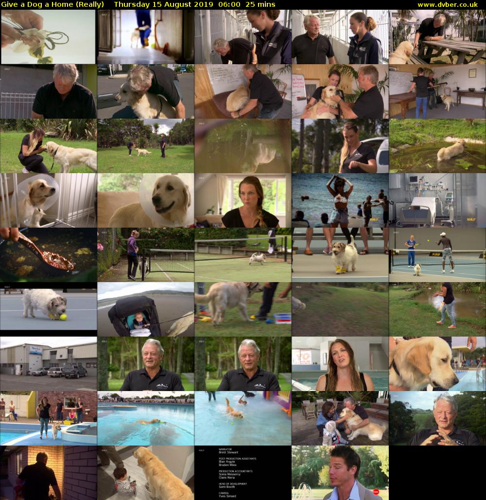 Give a Dog a Home (Really) Thursday 15 August 2019 06:00 - 06:25