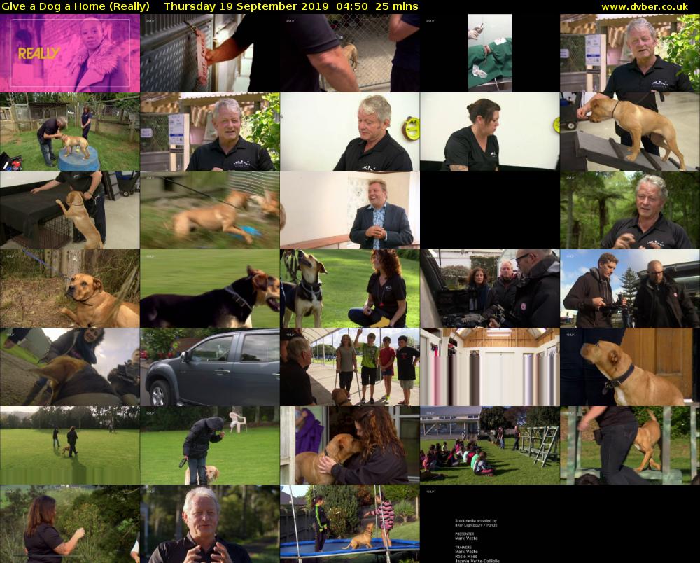 Give a Dog a Home (Really) Thursday 19 September 2019 04:50 - 05:15